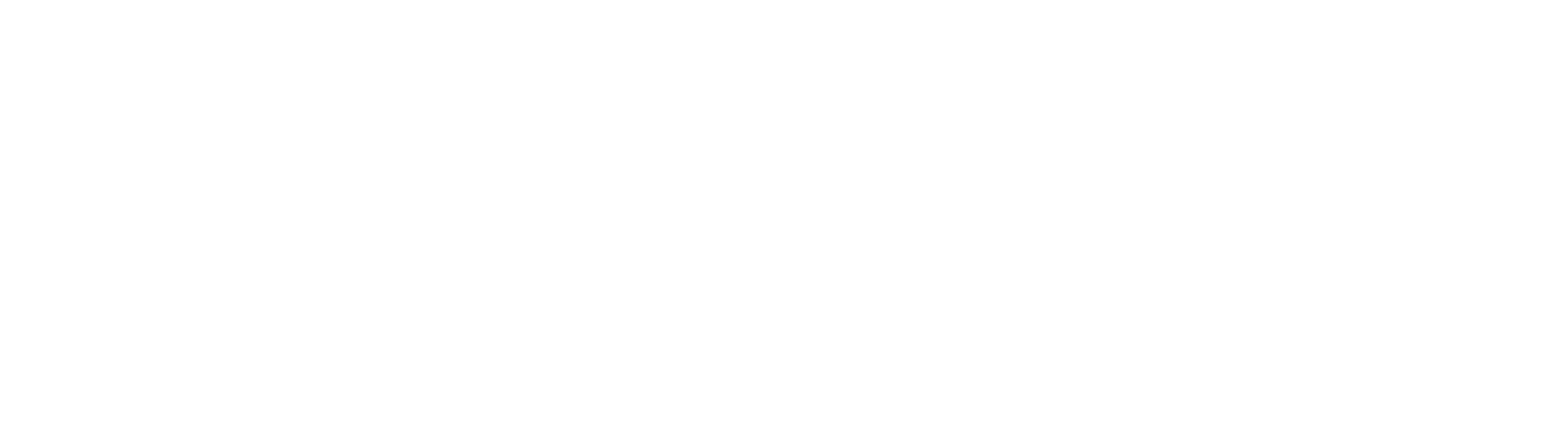 Logo_Sword_white (1)